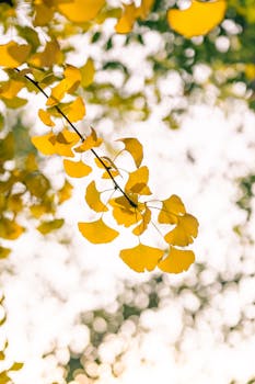 宁波银行“换帅”庄灵君将接棒董事长 总资产3.63万亿不良率连续8年低于0.8% 新闻