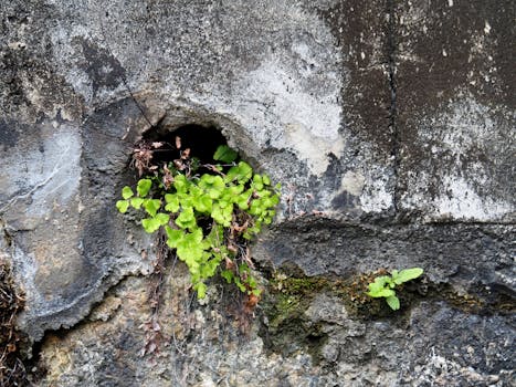 长盈精密从消费电子卷到机器人 净利润下滑两成仍获特斯拉独家供应 新闻