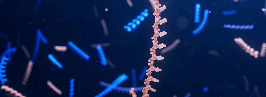  罕见病新药研发热潮涌动，寡核苷酸管线捷报频传；多款3期候选药物进展显著，照亮患者前行之路。 健康养生