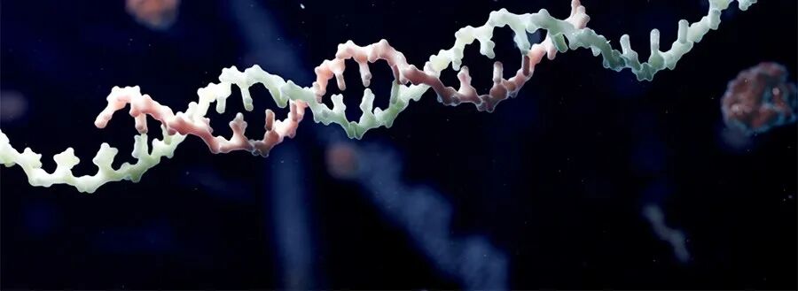  罕见病新药研发热潮涌动，寡核苷酸管线捷报频传；多款3期候选药物进展显著，照亮患者前行之路。 健康养生