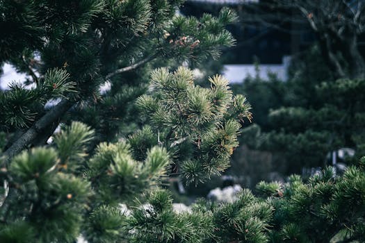  国家最高层面首次强调罕见病综合防治；患者群体迎来历史性转机。 健康养生