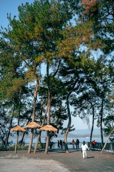  北交所做市商队伍持续扩容；多家机构申请资格获监管指导。 股票财经 北交所做市商队伍持续扩容；多家机构申请资格获监管指导。 股票财经