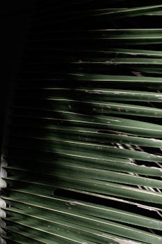  外资机构年报持仓路径浮出；A股优质资产吸引力凸显。 股票财经 外资机构年报持仓路径浮出；A股优质资产吸引力凸显。 股票财经