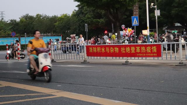  虫媒防疫指南：输入性传染病风险与应对策略 新闻