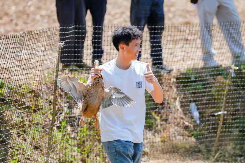  又是一年樱桃红：那个让人牵挂的茂良村，又一次热闹起来了 文化旅游