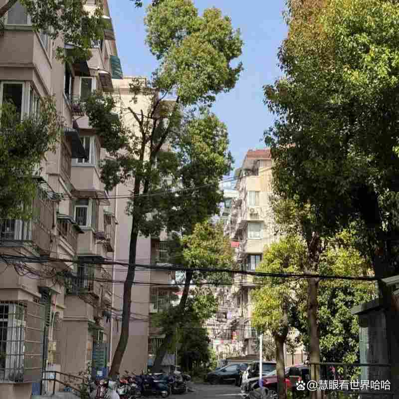 年轻人为何疯抢“老破小”？这5个扎心真相，越看越现实 房产家居