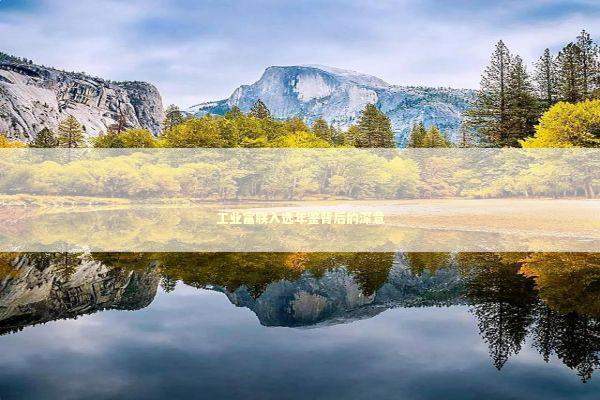 工业富联入选年鉴背后的深意 新闻