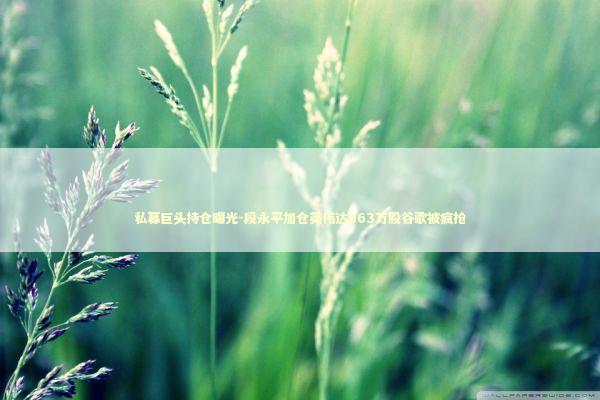 私募巨头持仓曝光-段永平加仓英伟达663万股谷歌被疯抢 新闻