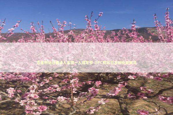 百度秒哒让普通人实现一人成军梦 OPC概念引发创业新潮流 新闻