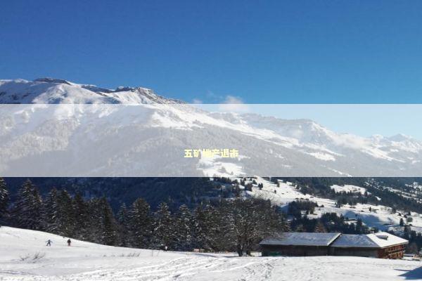 五矿地产退市 新闻