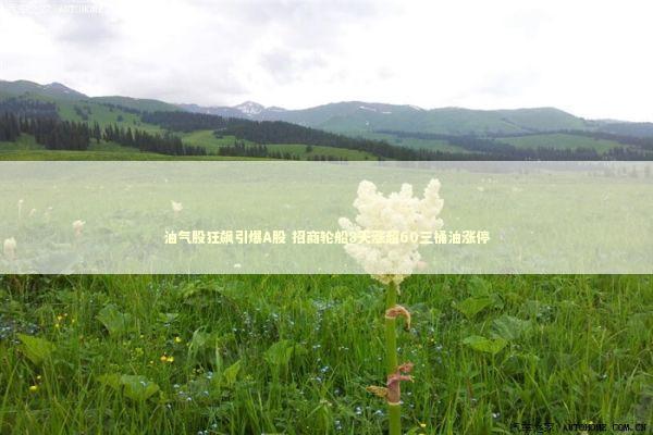 油气股狂飙引爆A股 招商轮船8天涨超60三桶油涨停 新闻