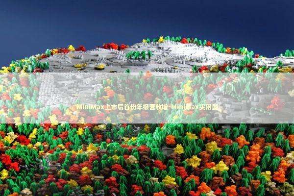 MiniMax上市后首份年报营收增-MiniMax实用型 新闻
