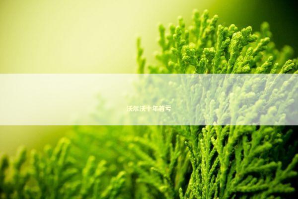 沃尔沃十年首亏 新闻