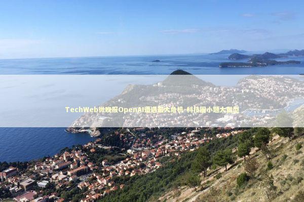 TechWeb微晚报OpenAI遭遇最大危机-科技圈小题大做型 新闻