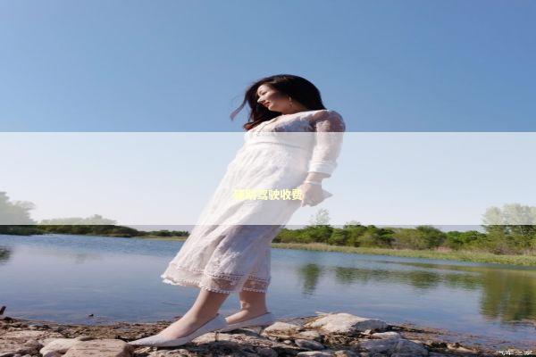 辅助驾驶收费 新闻