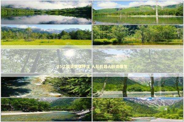 25亿国资集体押注 人形机器人融资爆发 新闻