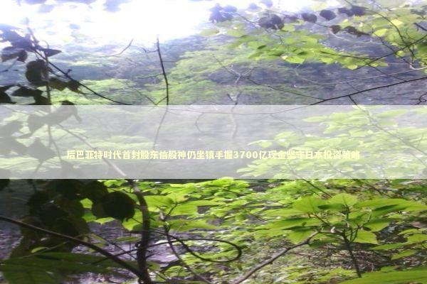后巴菲特时代首封股东信股神仍坐镇手握3700亿现金坚守日本投资策略 新闻