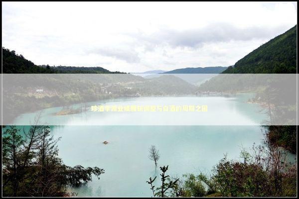 珍酒李渡业绩腰斩调整与白酒的周期之困 新闻