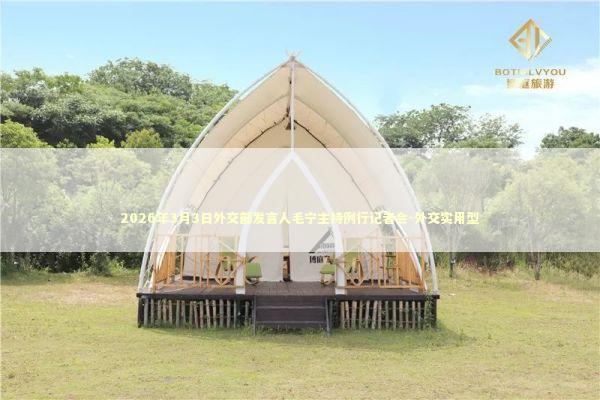 2026年3月3日外交部发言人毛宁主持例行记者会-外交实用型 新闻