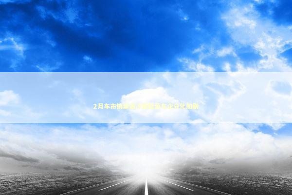 2月车市销量遇冷新能源车企分化加剧 新闻