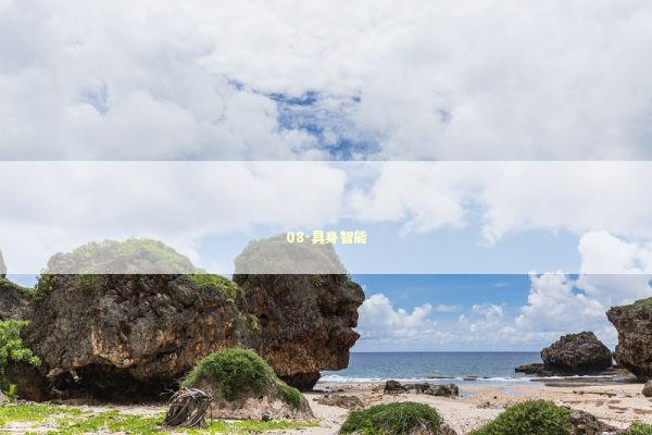 08-具身智能 新闻