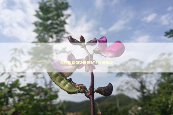 医疗板块强势反弹ETF收复年线 新闻
