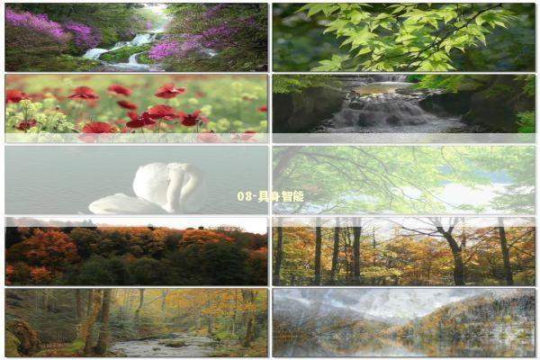 08-具身智能 新闻