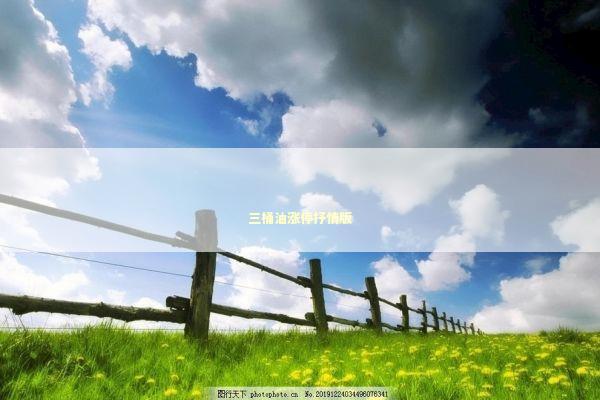 三桶油涨停抒情版 新闻