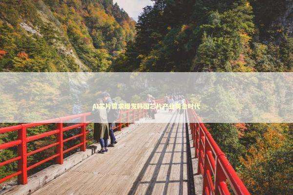 AI芯片需求爆发韩国芯片产业黄金时代 新闻