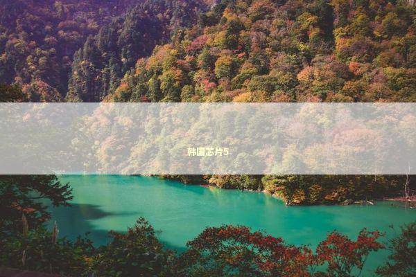 韩国芯片5 新闻