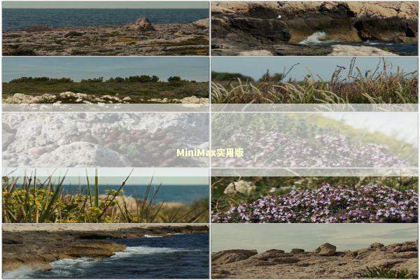 MiniMax实用版 新闻