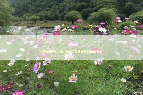 A股缩量7600亿 存储芯片业绩炸裂给出答案 新闻