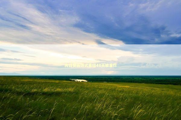 向日葵画饼式重组48天被重罚 新闻