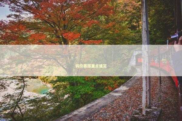 钨价暴涨重点速览 新闻