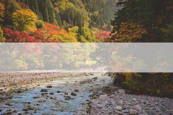 579-脂肪肝 新闻