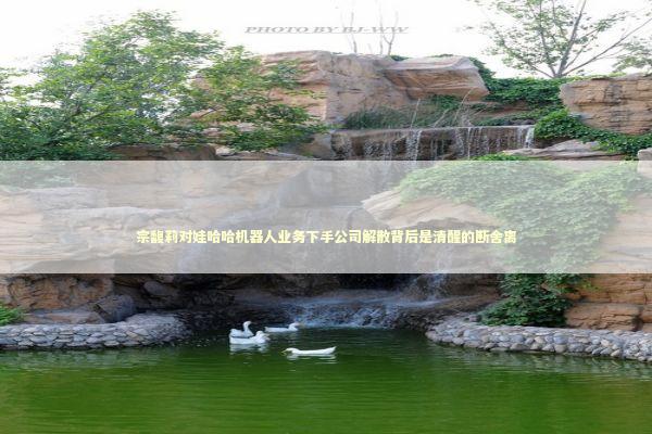 宗馥莉对娃哈哈机器人业务下手公司解散背后是清醒的断舍离 新闻