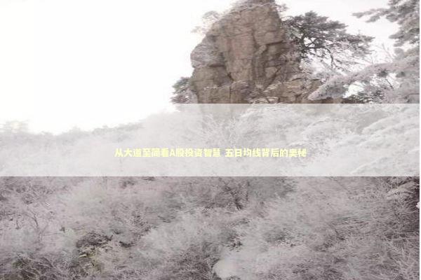 从大道至简看A股投资智慧 五日均线背后的奥秘 新闻