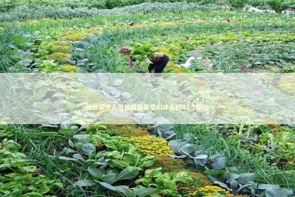 微软研究人员披露最易受AI冲击的40个职业 新闻