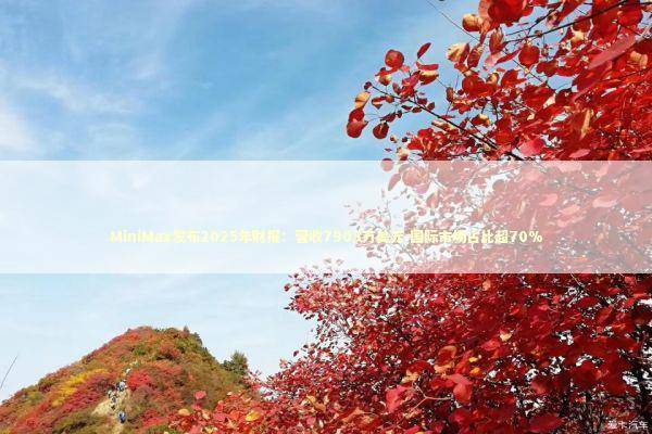 MiniMax发布2025年财报：营收7903万美元 国际市场占比超70% 新闻