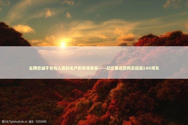 无限忠诚于党和人民的无产阶级革命家——纪念董必武同志诞辰140周年 新闻