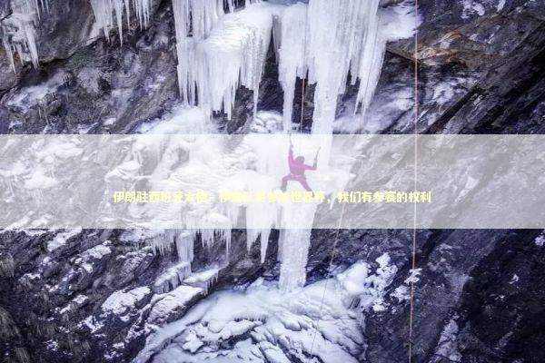 伊朗驻西班牙大使：伊朗队将参加世界杯，我们有参赛的权利 新闻