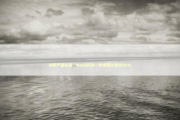 供需严重失调，Nand闪存一季度预计涨价90% 新闻