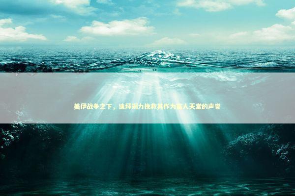 美伊战争之下，迪拜竭力挽救其作为富人天堂的声誉 新闻