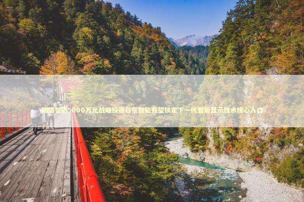 瑞德智能5000万元战略投资谷东智能有望锁定下一代智能显示技术核心入口 新闻