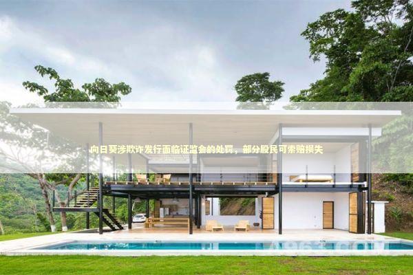 向日葵涉欺诈发行面临证监会的处罚，部分股民可索赔损失 新闻