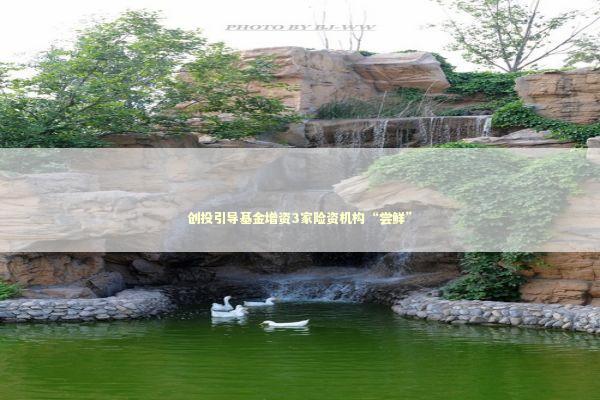 创投引导基金增资3家险资机构“尝鲜” 新闻