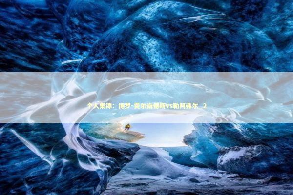 个人集锦：德罗-费尔南德斯vs勒阿弗尔_2 新闻