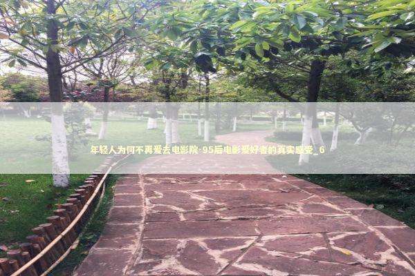 年轻人为何不再爱去电影院-95后电影爱好者的真实感受_6 新闻