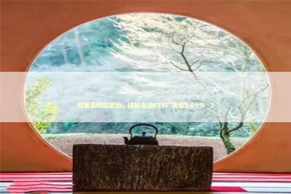 政策盈利双驱动，储能电池ETF广发涨1.09%_2 新闻