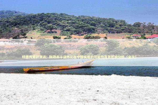 楼继伟重磅演讲：财政赤字货币化在中国实施的可能性及其影响分析（全文） 新闻